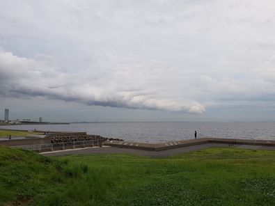 203691696_10222635117441416_4270078137907423565_n